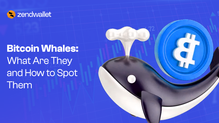 Bitcoin Whales