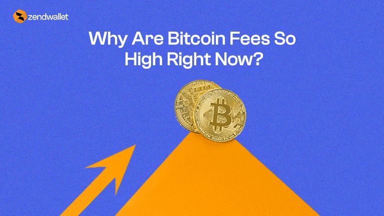 Bitcoin Fees