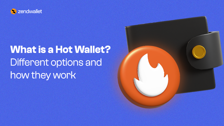 What Is a Hot Wallet?